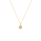 Daisy munt ketting