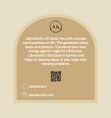 Labradoriet wilde bloem bedel oorbellen