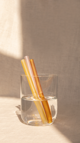 Frosted glass straws terra (set/2) ♻︎