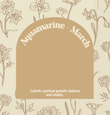 Aquamarine / March birth flower necklace